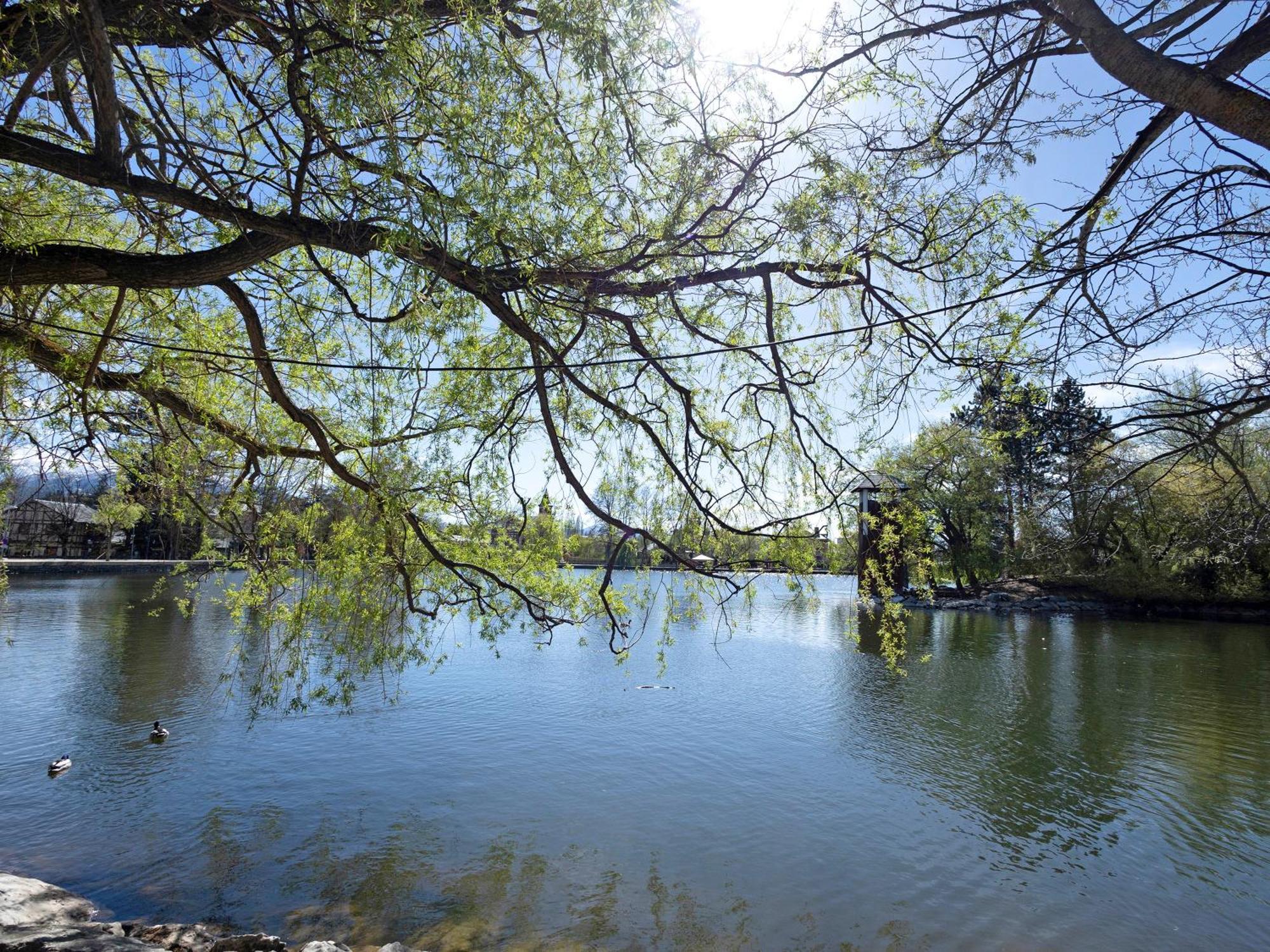 Puigcerdà Alfons I 아파트 외부 사진
